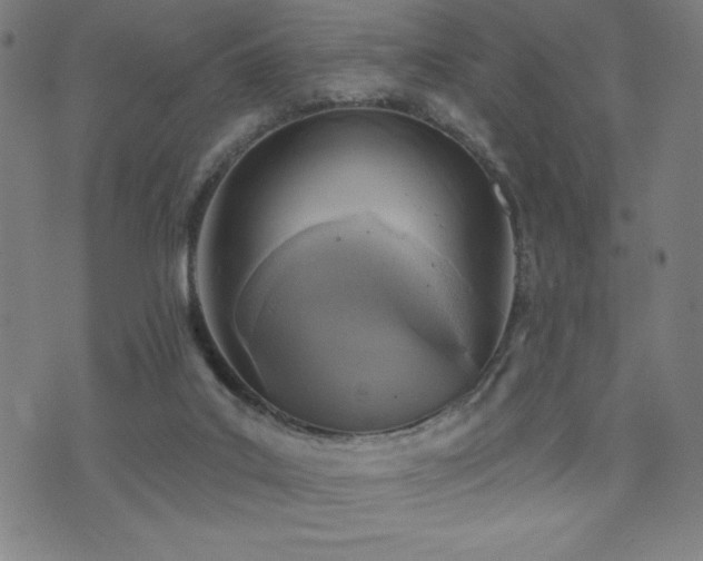 X0000072940019200607211113