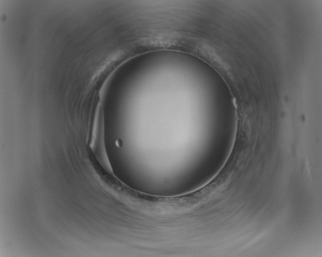 X0000072940020200607211113