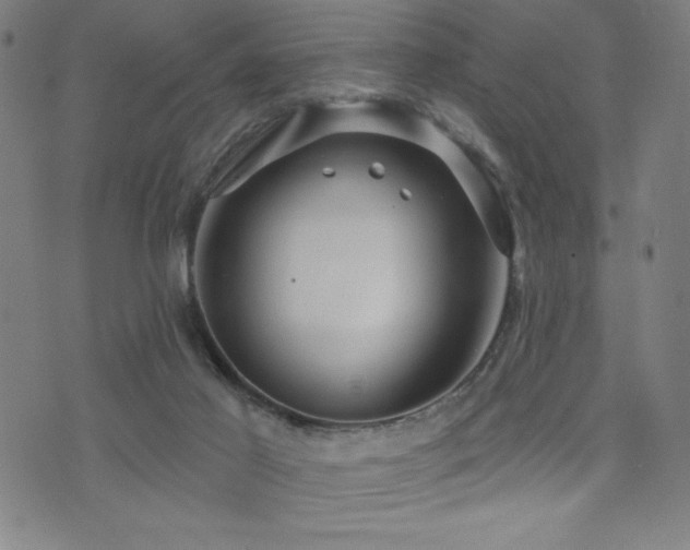 X0000072940021200607211113