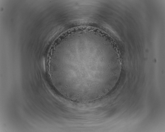 X0000072940022200607211113