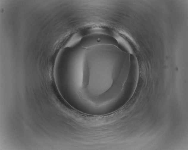 X0000072940023200607211113