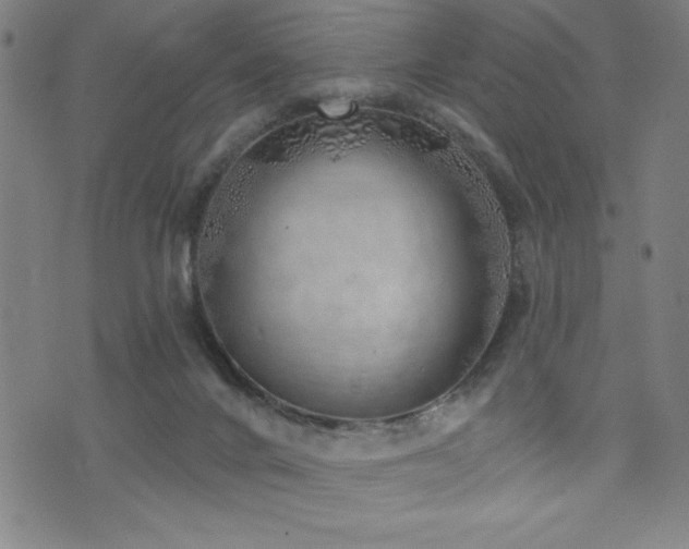 X0000072940024200607211113