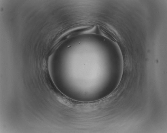 X0000072940025200607211113