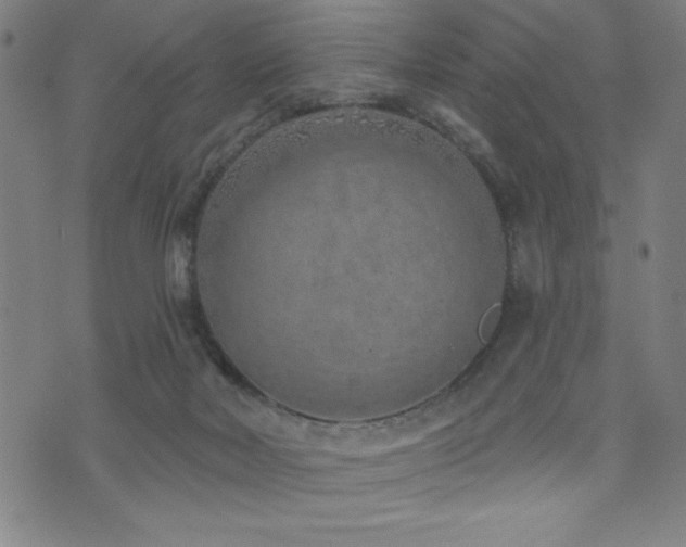 X0000072940026200607211113