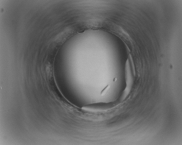 X0000072940029200607211113