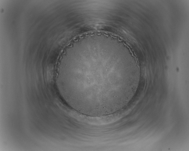 X0000072940030200607211113