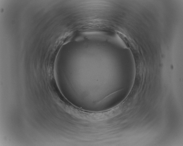 X0000072940031200607211113