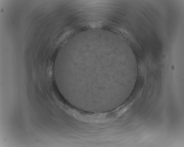 X0000072940032200607211113