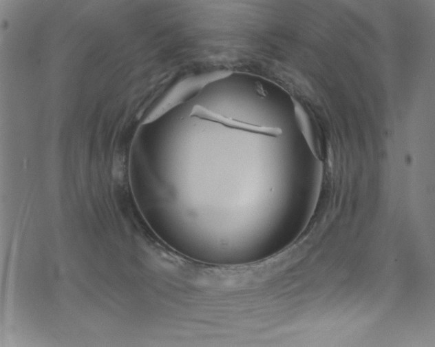 X0000072940033200607211113