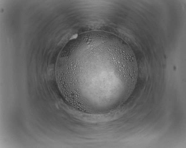 X0000072940034200607211113