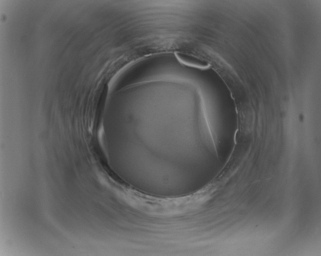 X0000072940035200607211113