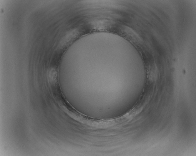 X0000072940036200607211113