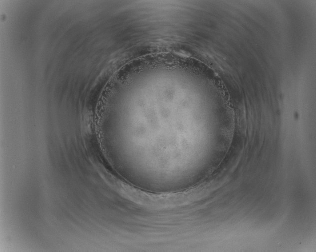 X0000072940038200607211113