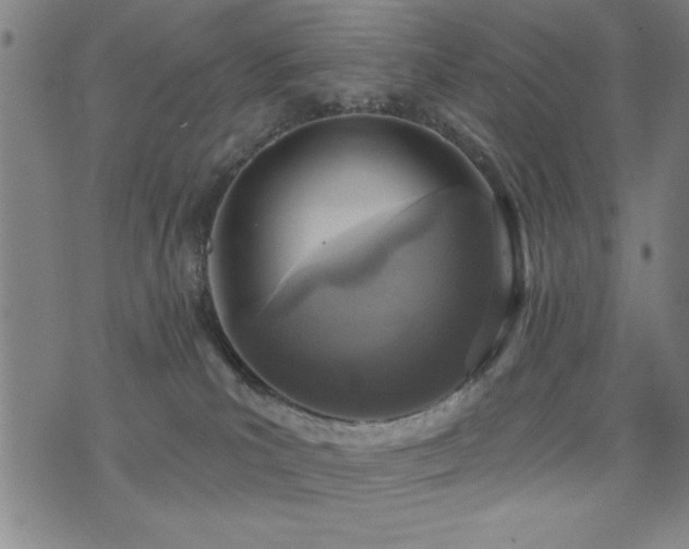 X0000072940039200607211113