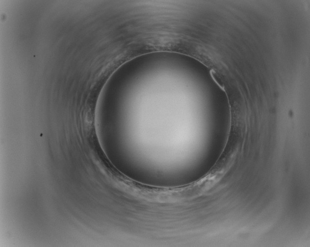 X0000072940040200607211113