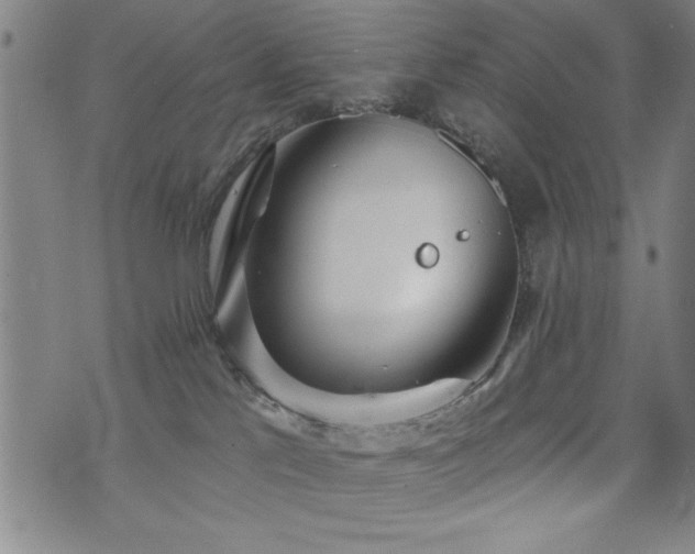 X0000072940041200607211113