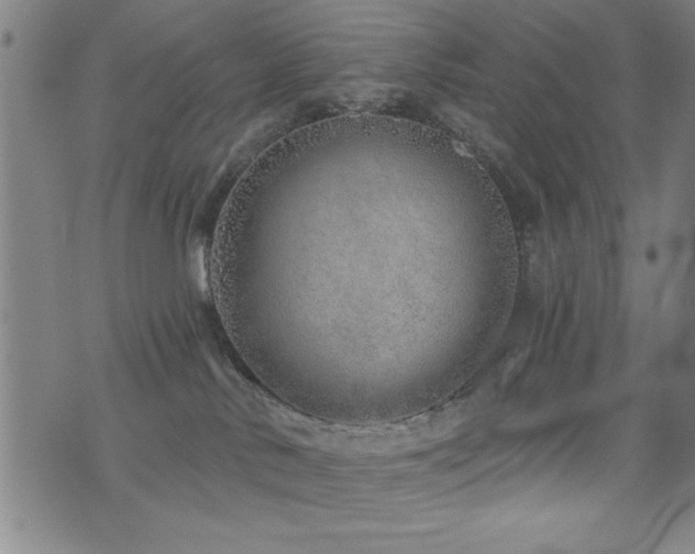 X0000072940042200607211113