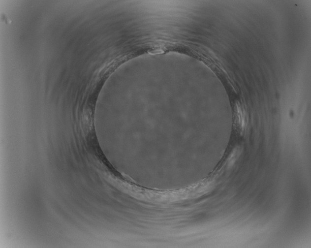 X0000072940043200607211113