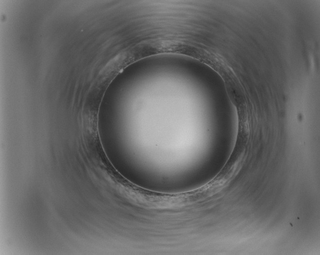 X0000072940044200607211113