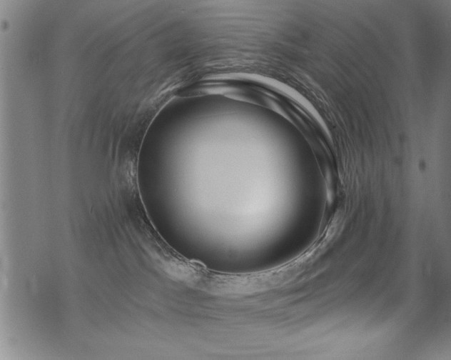 X0000072940045200607211113