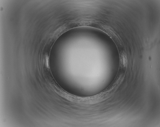 X0000072940046200607211113