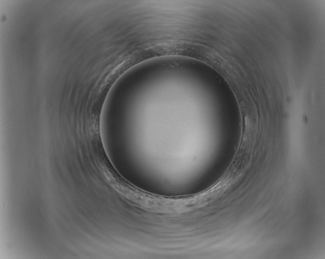 X0000072940048200607211112