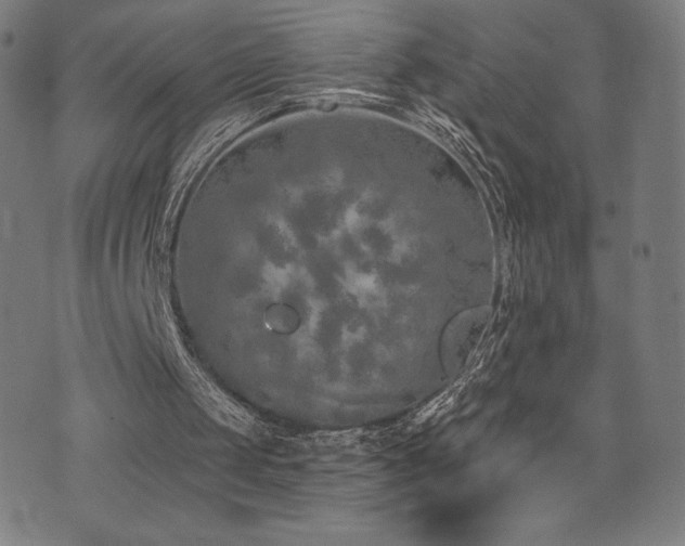 X0000072940049200607211112