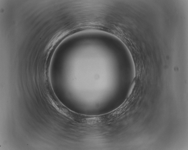 X0000072940050200607211112