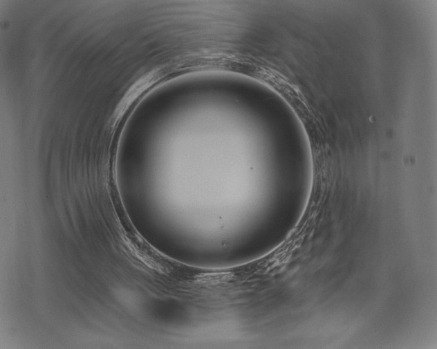 X0000072940051200607211112