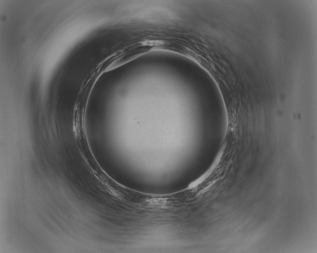 X0000072940052200607211112