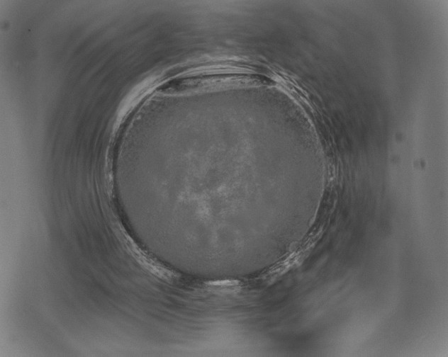 X0000072940053200607211112