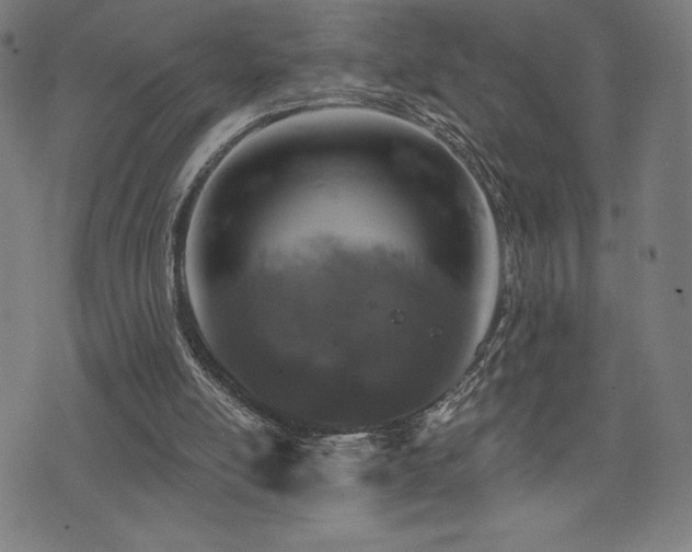 X0000072940054200607211112