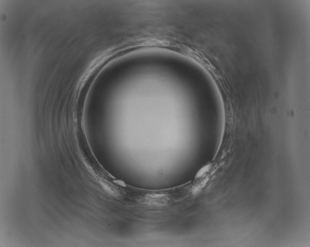 X0000072940055200607211112