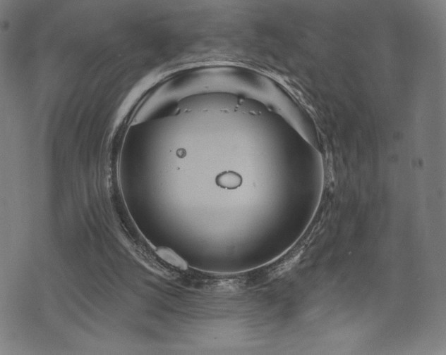 X0000072940056200607211112