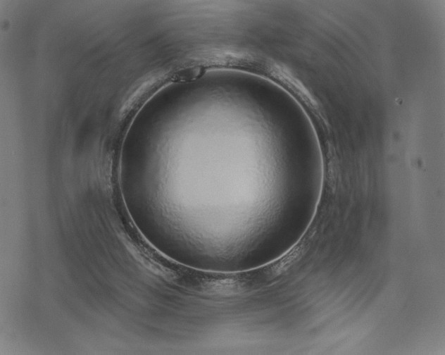 X0000072940058200607211112