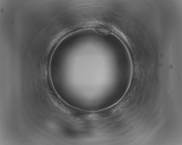 X0000072940059200607211112