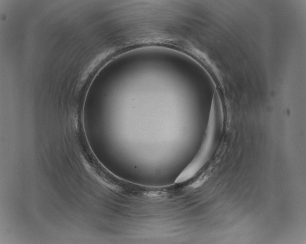 X0000072940060200607211112