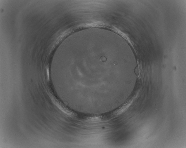 X0000072940061200607211112