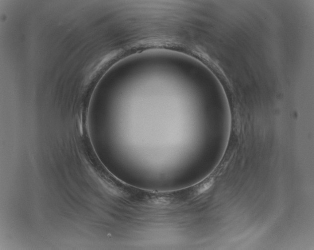 X0000072940062200607211112