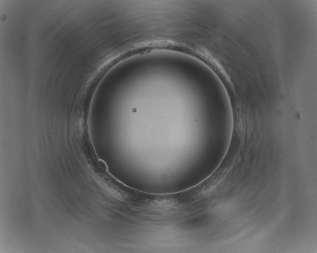 X0000072940063200607211112