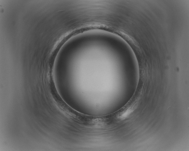 X0000072940064200607211112