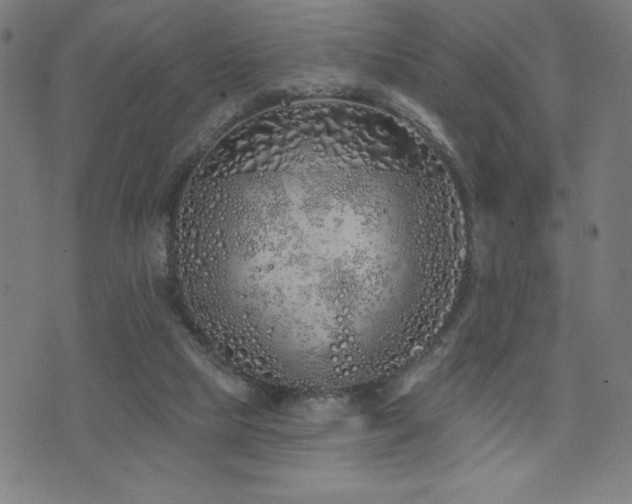 X0000072940065200607211112