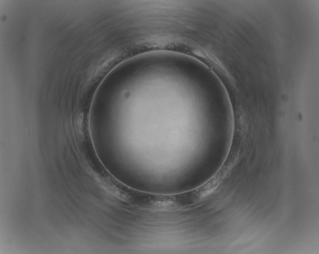 X0000072940066200607211112