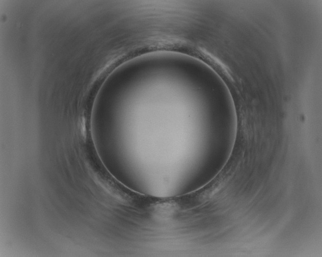 X0000072940067200607211112