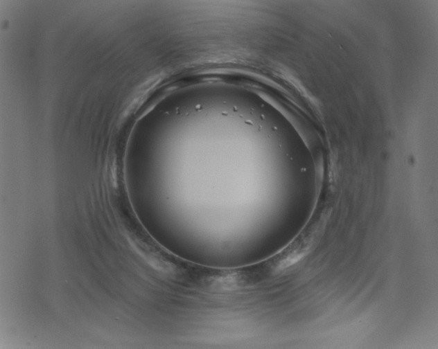 X0000072940068200607211112