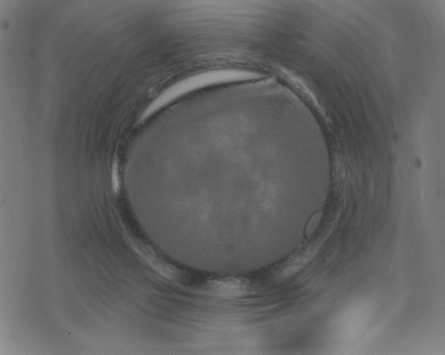 X0000072940069200607211112