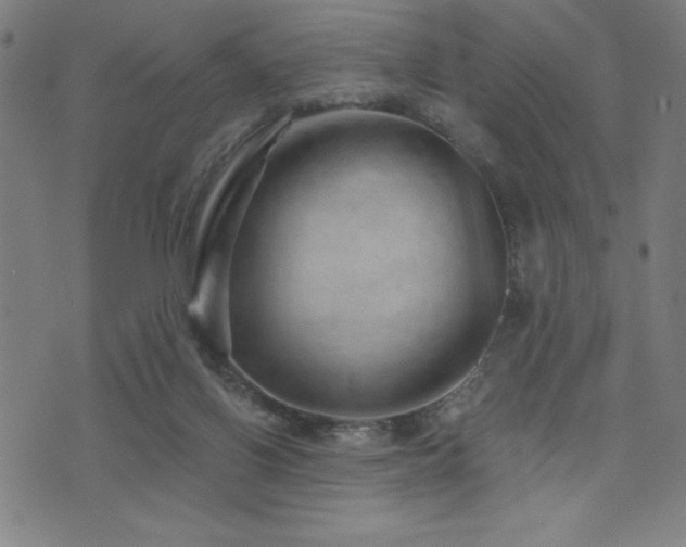 X0000072940070200607211112