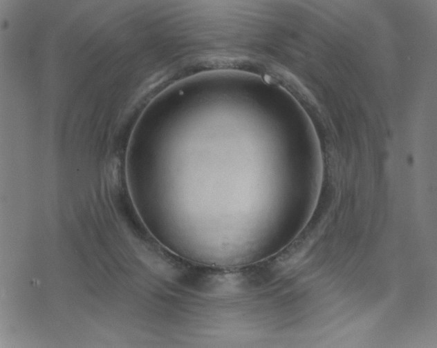 X0000072940071200607211112