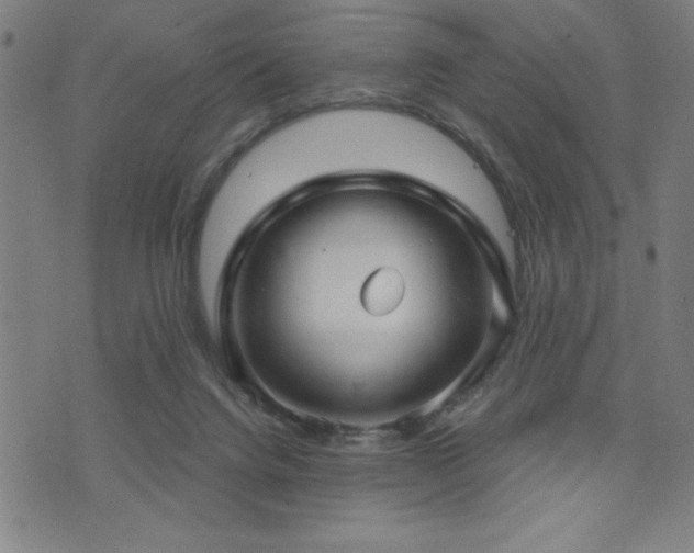 X0000072940072200607211112