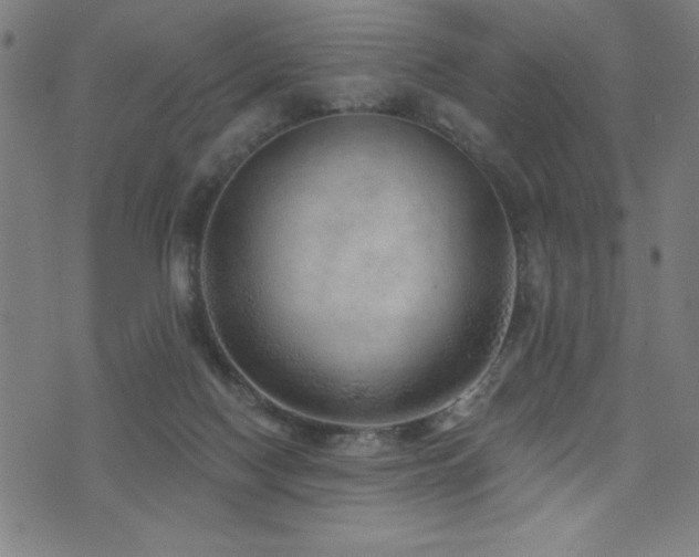 X0000072940074200607211112